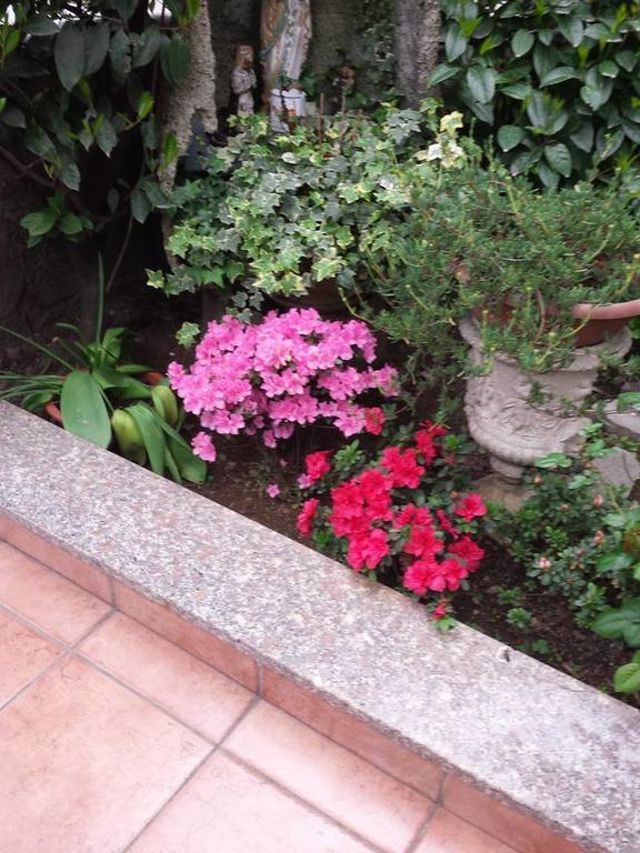 Hotel Renato เซสโต ซานโจวันนี ภายนอก รูปภาพ