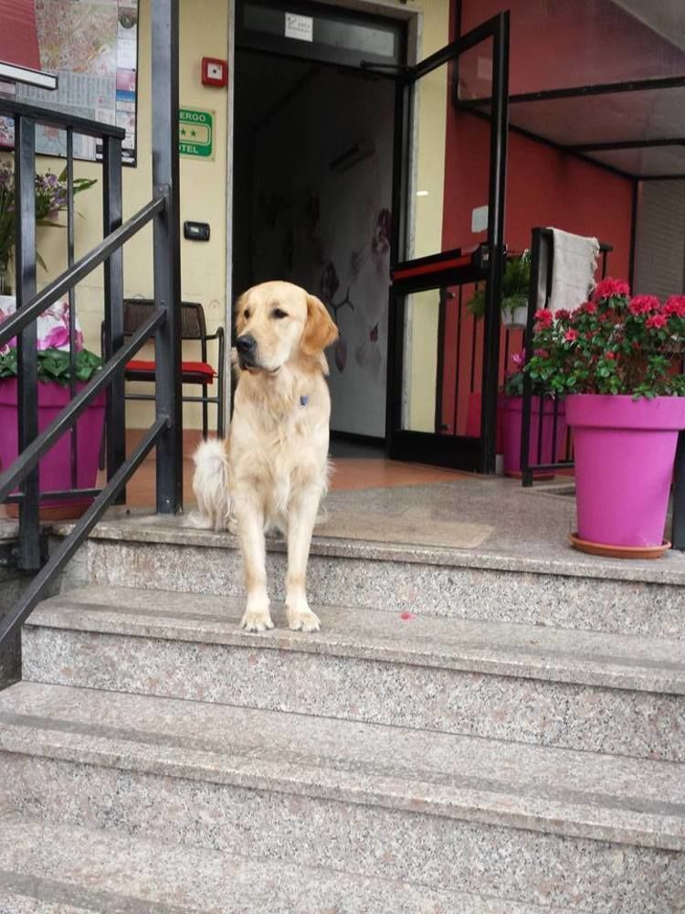 Hotel Renato เซสโต ซานโจวันนี ภายนอก รูปภาพ